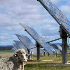 Solar farm at Warwick