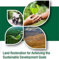 report cover